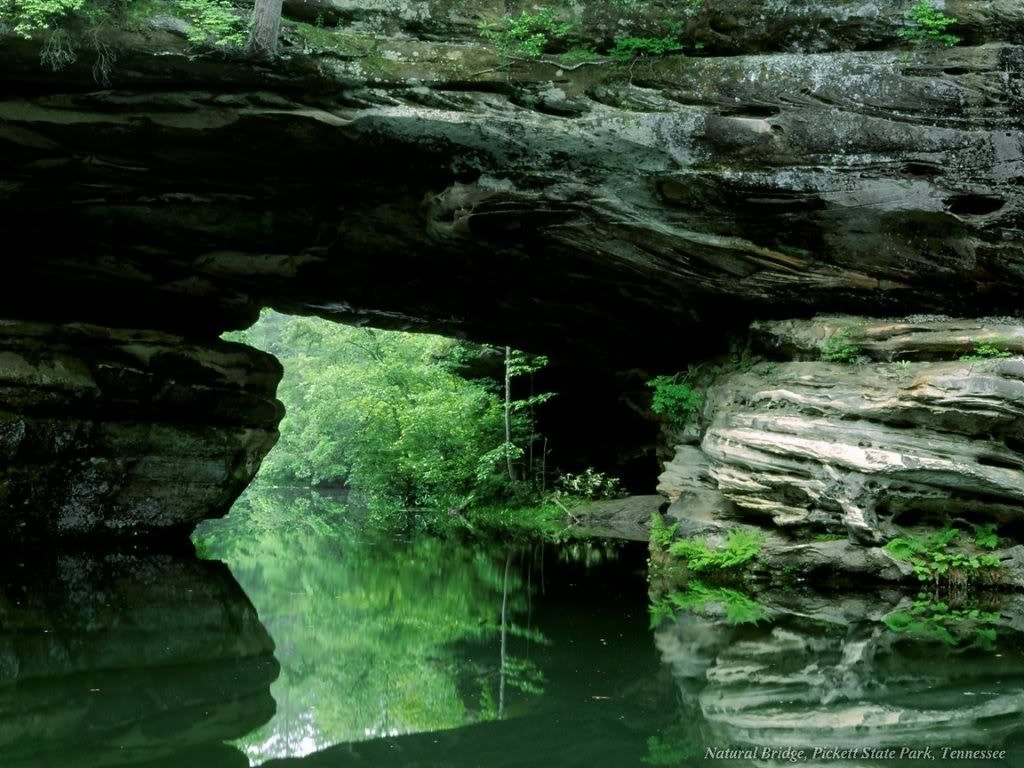 WebshotsWallpaper385.jpg