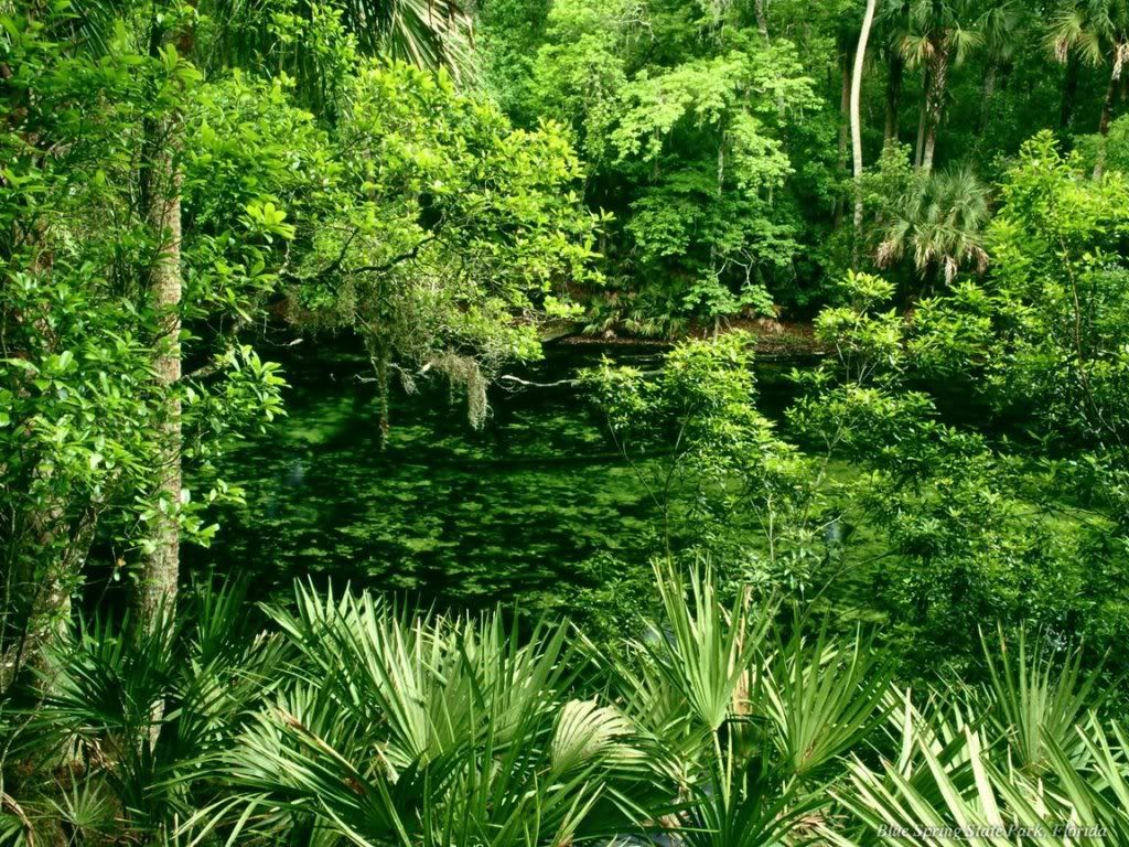 WebshotsWallpaper394.jpg
