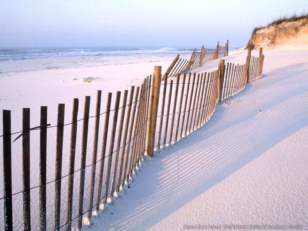 WebshotsWallpaper395.jpg