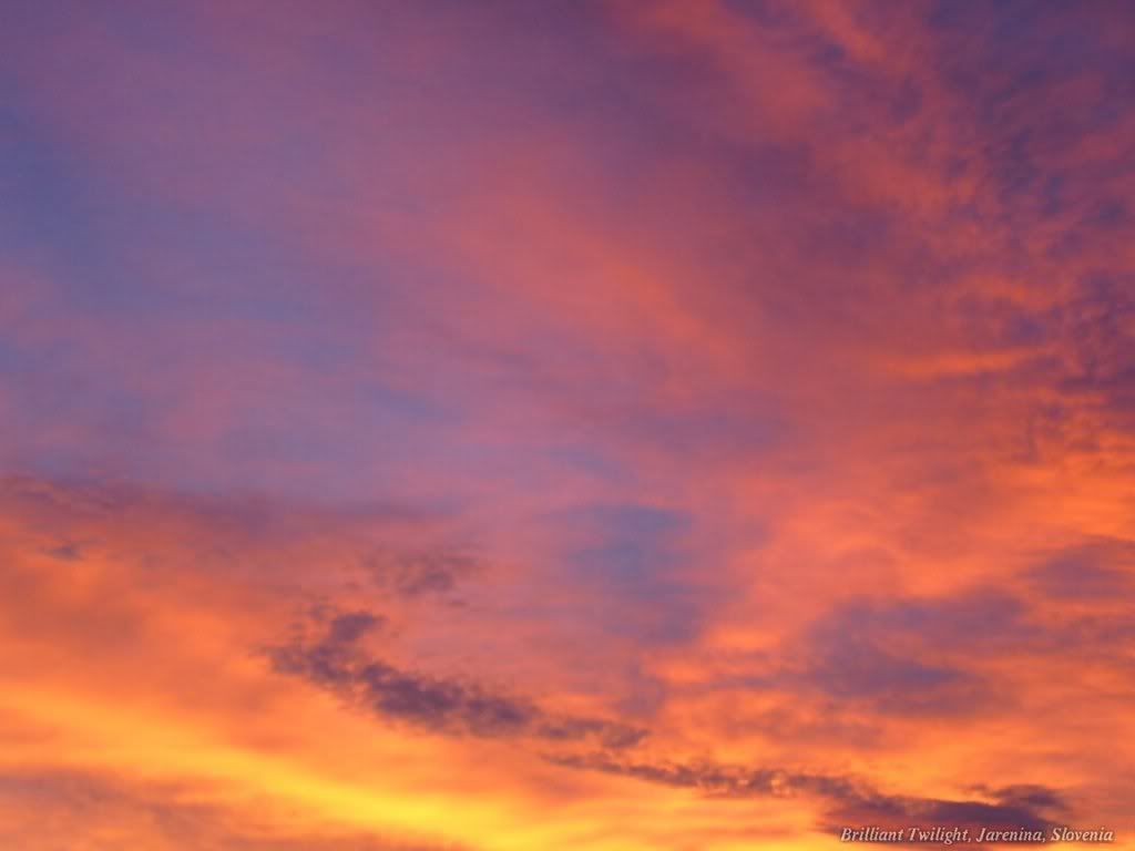 WebshotsWallpaper398.jpg