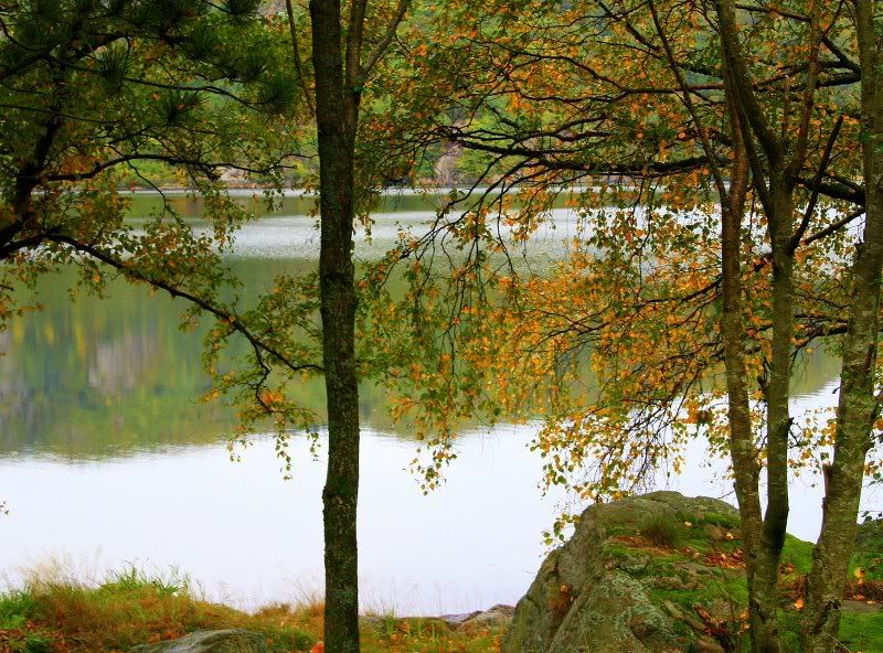 img1541rw6.jpg