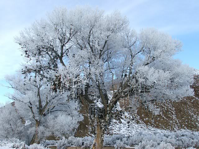 03-4.jpg