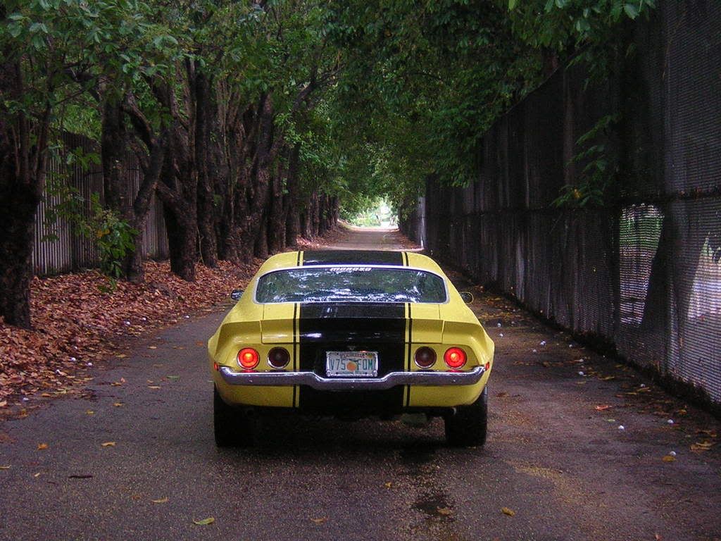 31777870005_large.jpg
