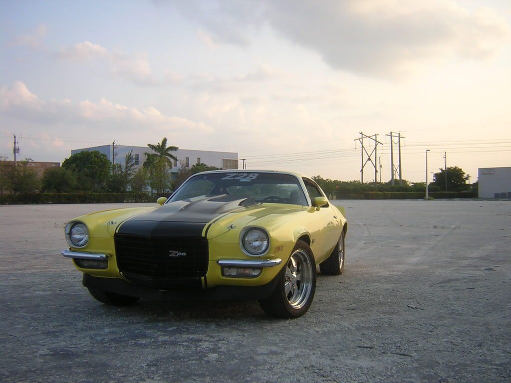 31777870008_large.jpg