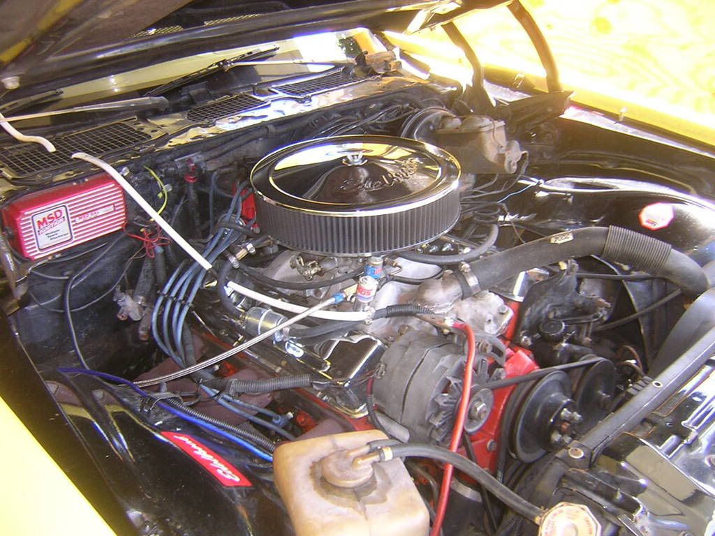 31777870009_large.jpg