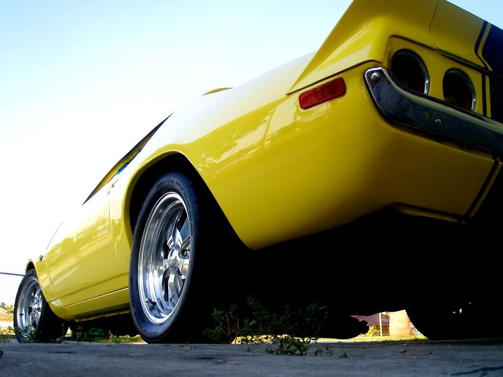 31777870033_large.jpg