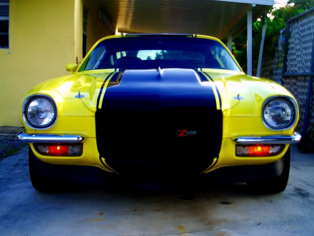 31777870039_large.jpg