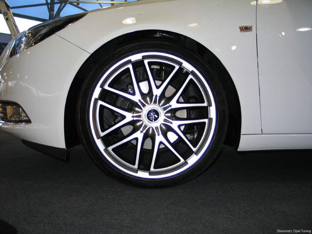 Opel-Insignia-Steinmetz-2.jpg