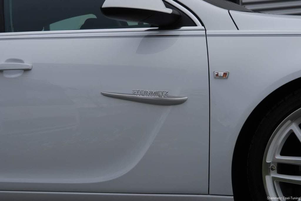 Opel-Insignia-Steinmetz-5.jpg