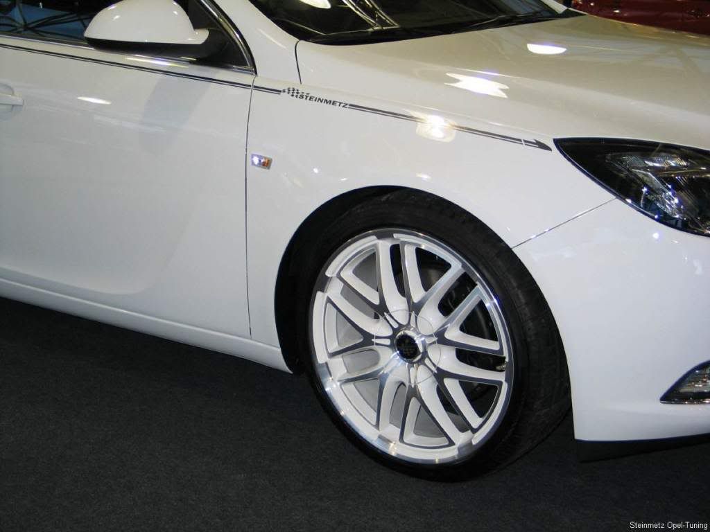 Opel-Insignia-Steinmetz-6.jpg