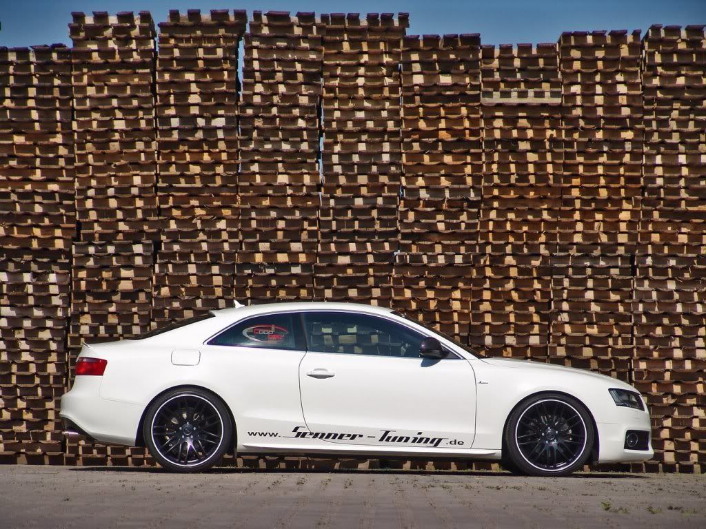 Senner-Tuning-A5-3.jpg
