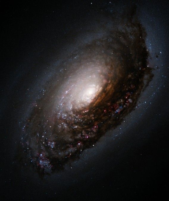 Astronomy-Galaxy-Spiral-M64-DarkRin.jpg