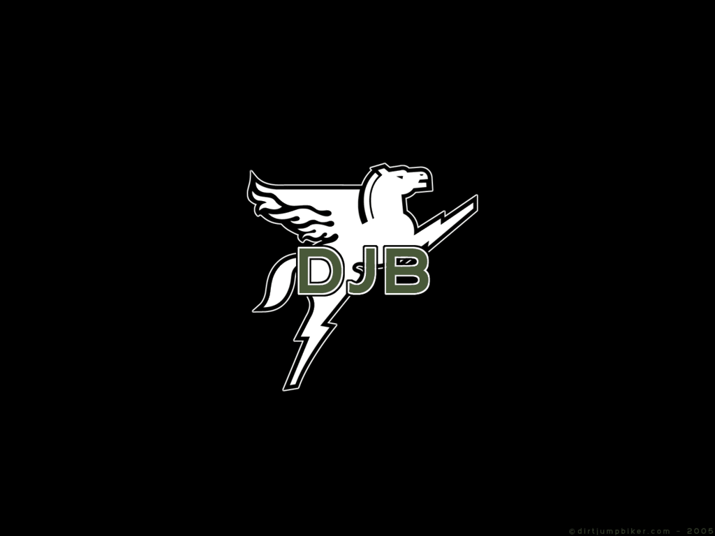 black16.gif