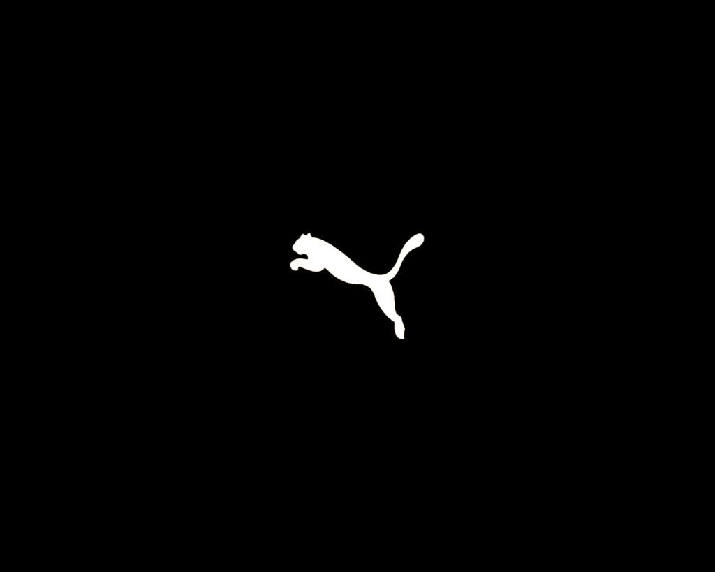 black17.jpg