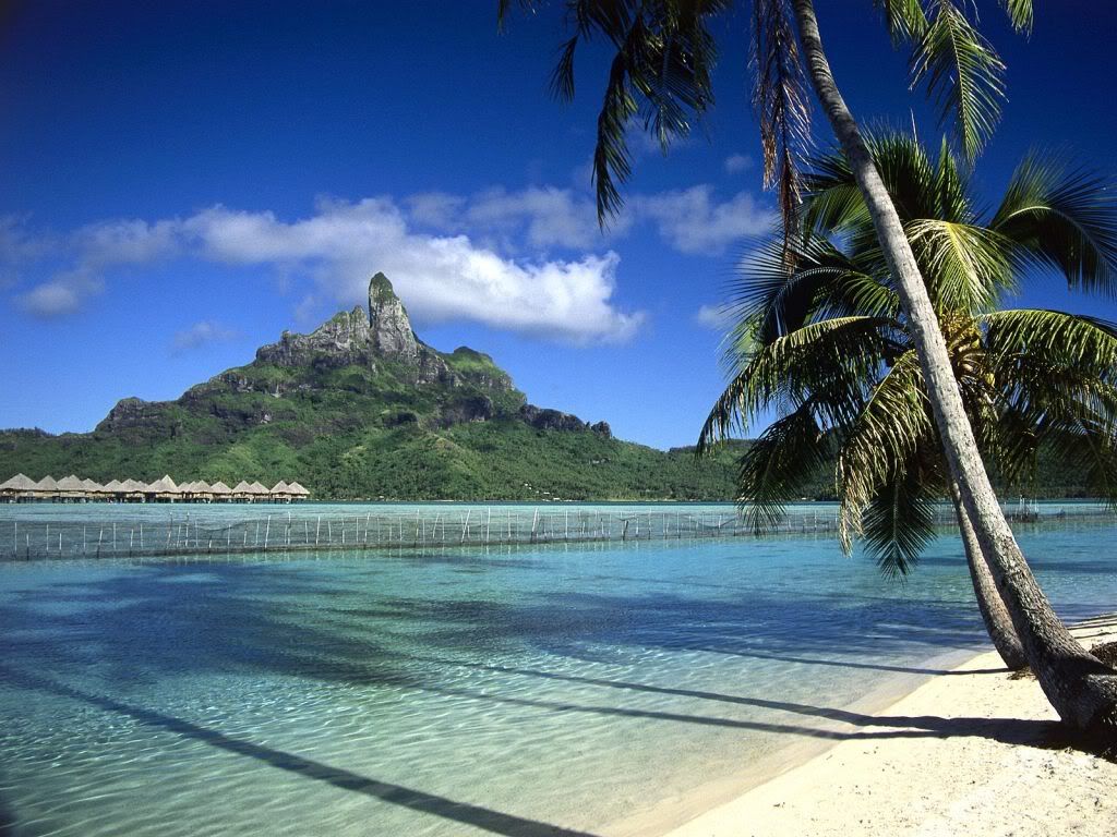 BoraBoraShorelineFrenchPolynesia.jpg
