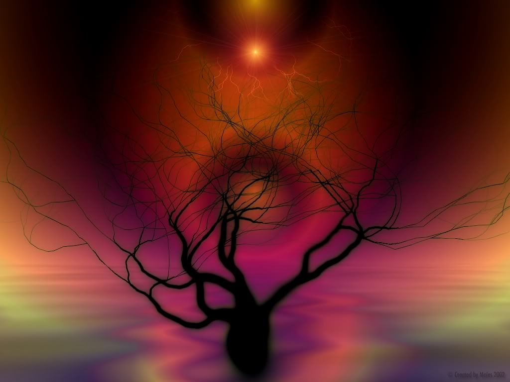 Branching20Out.jpg