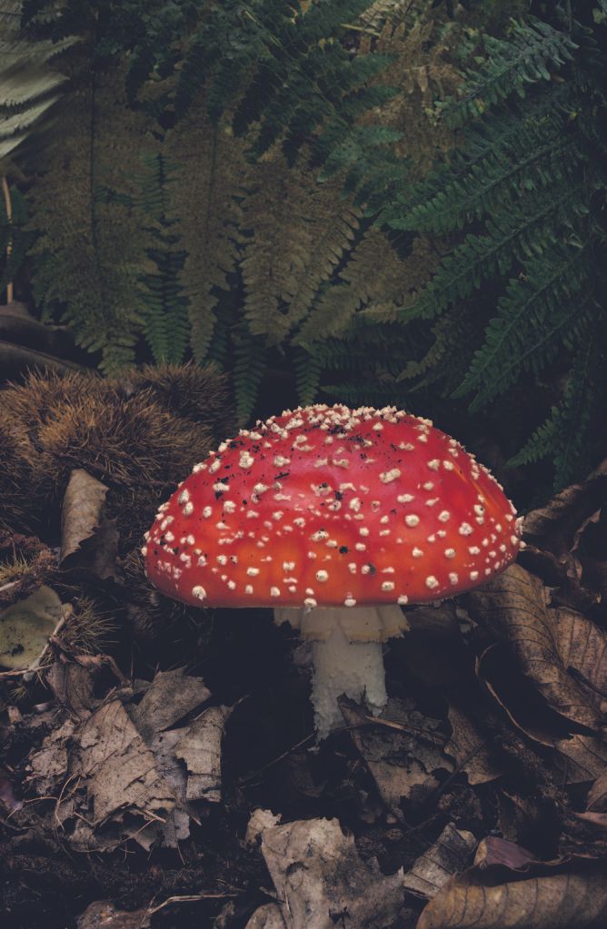 DSC-NatureLandscape140.jpg
