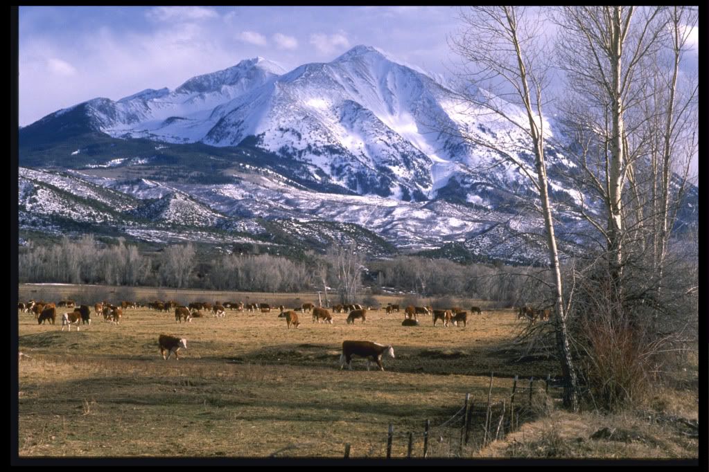 DSC-NatureLandscape203.jpg