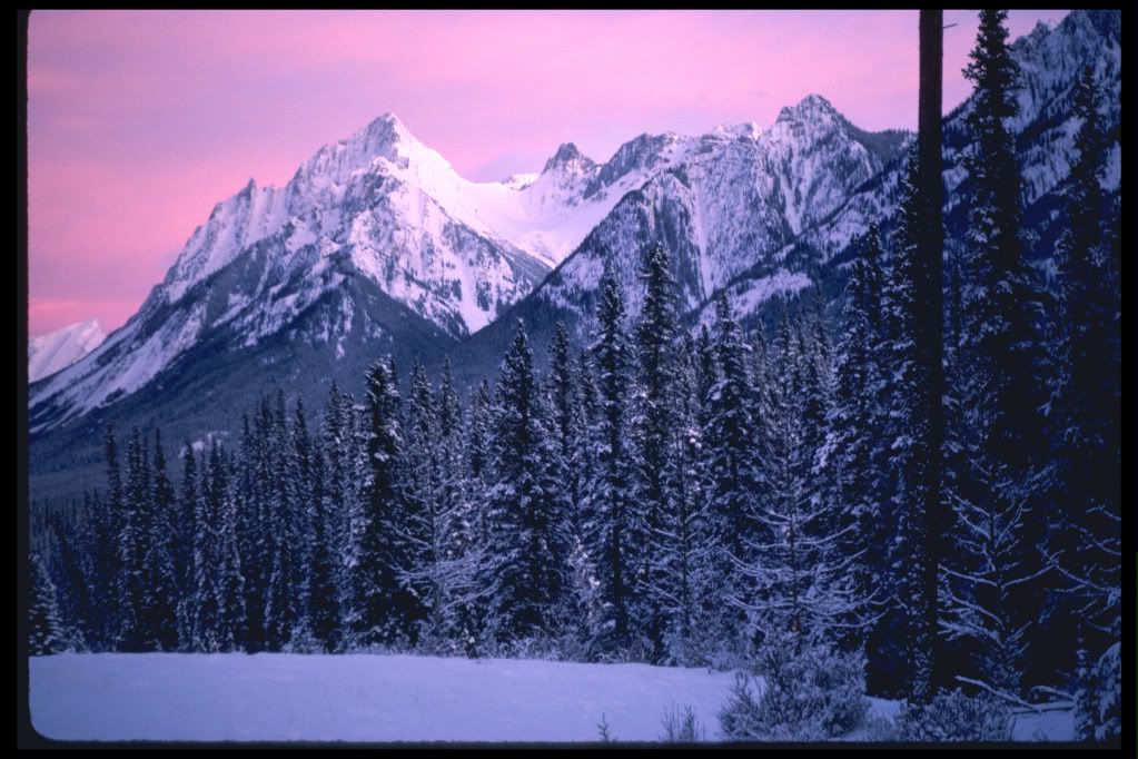 DSC-NatureLandscape216.jpg