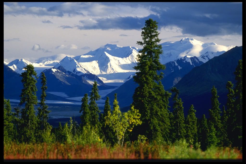 DSC-NatureLandscape231.jpg
