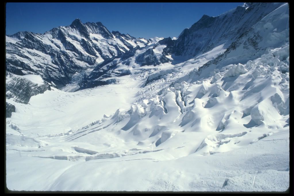 DSC-NatureLandscape254.jpg