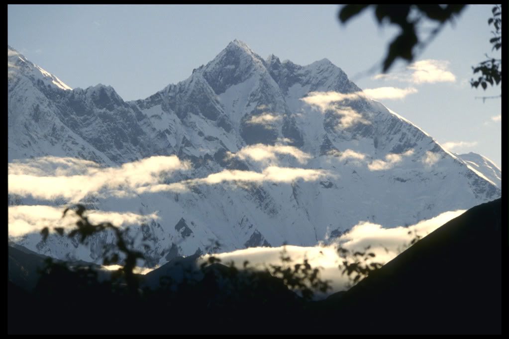 DSC-NatureLandscape262.jpg
