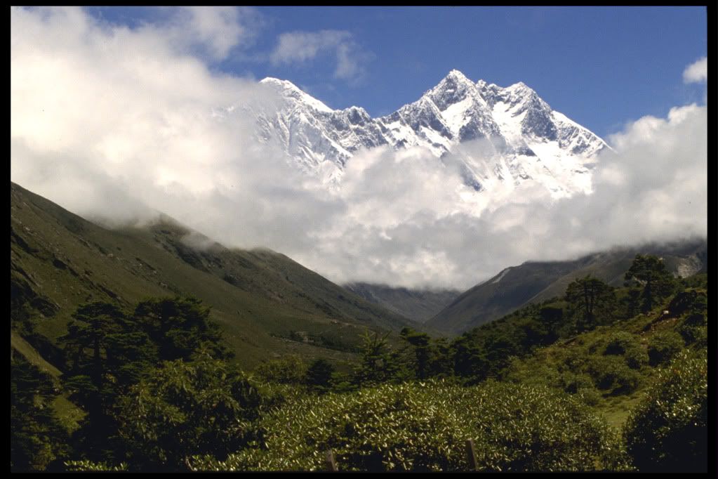 DSC-NatureLandscape263.jpg