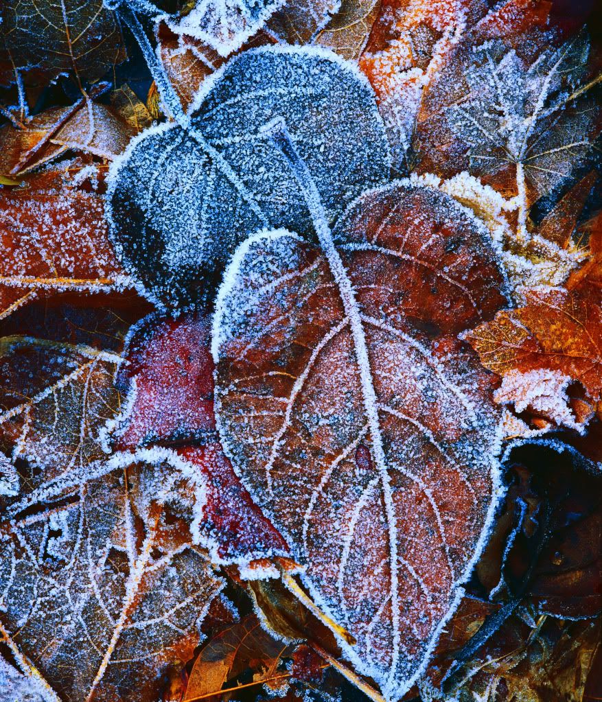 DSC-NatureLandscape46.jpg