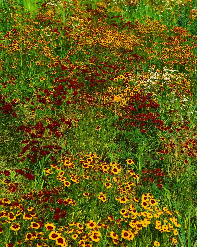 DSC-NatureLandscape50.jpg
