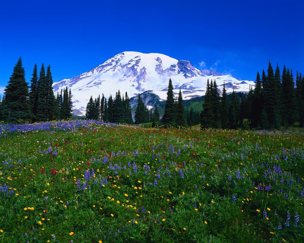 DSC-NatureLandscape8.jpg