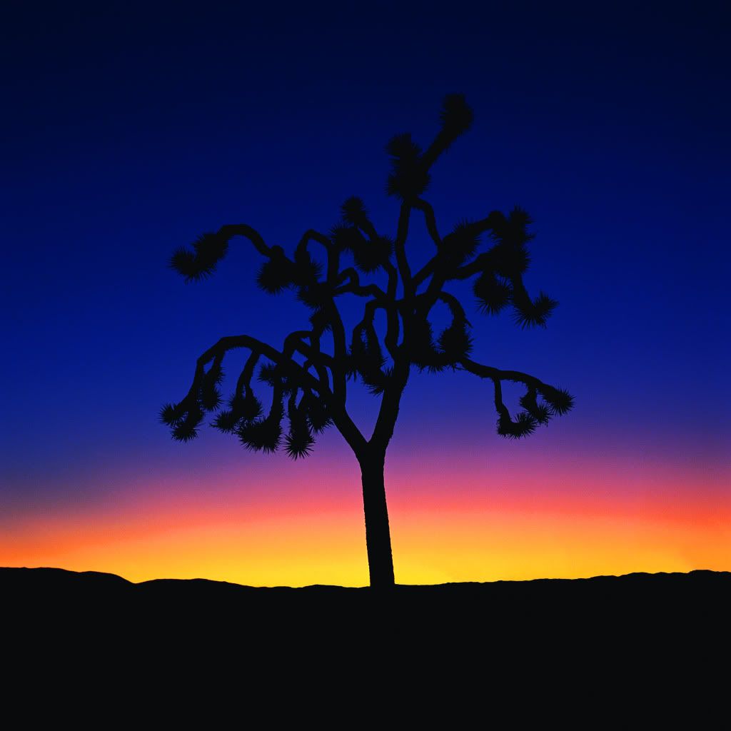 DSC-NatureLandscape81.jpg