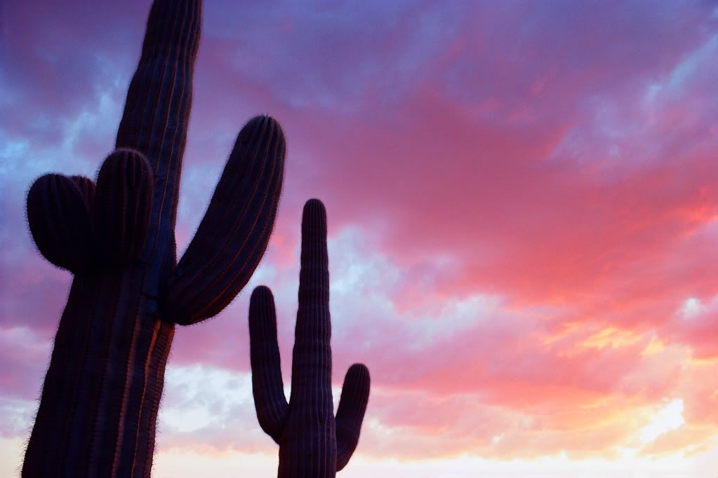 DSC-NatureLandscape82.jpg
