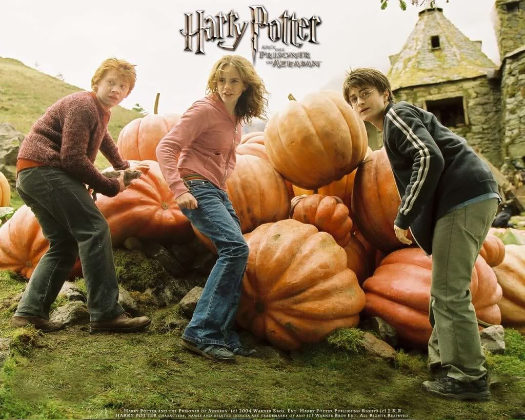 HarryPotter11.jpg