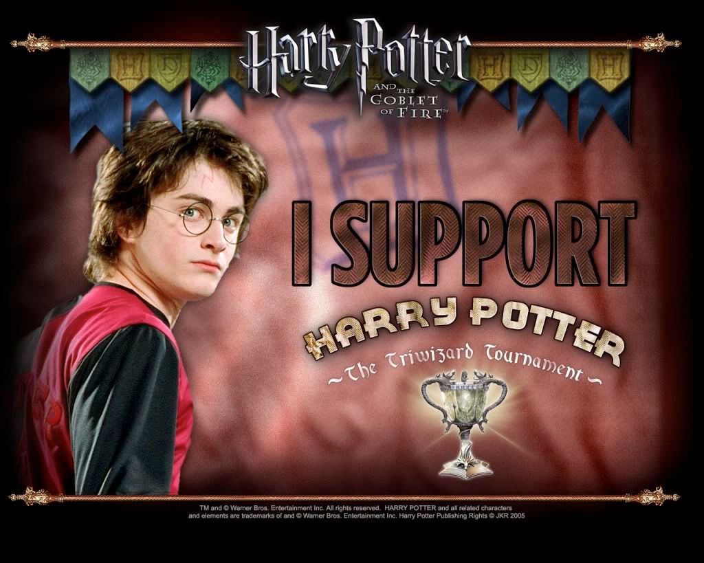 HarryPotter16.jpg