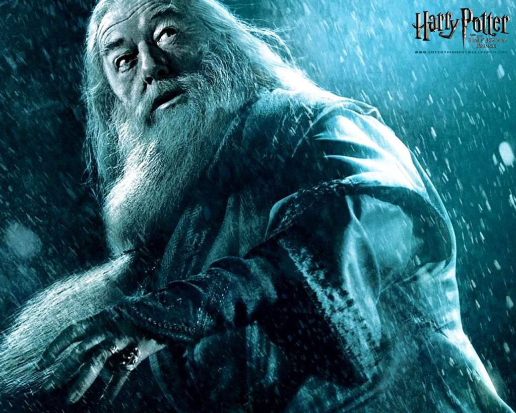 HarryPotter29.jpg