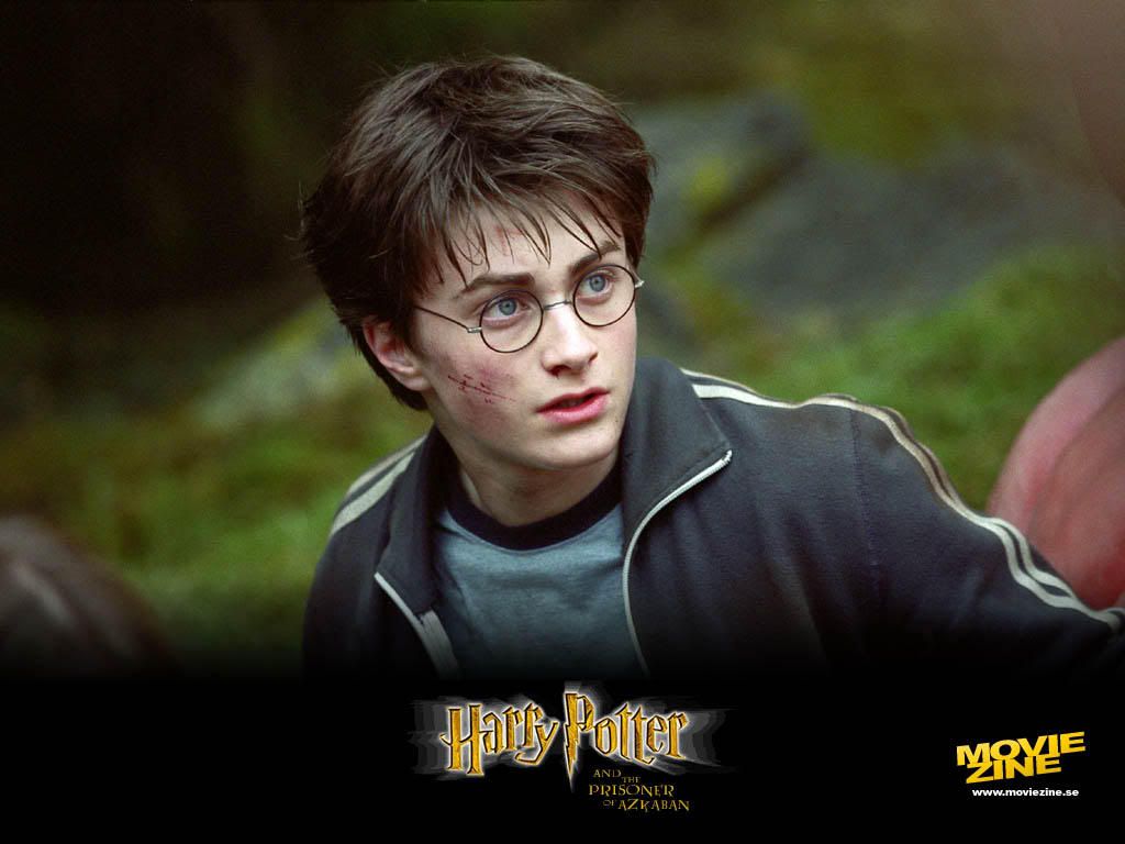 HarryPotter48.jpg