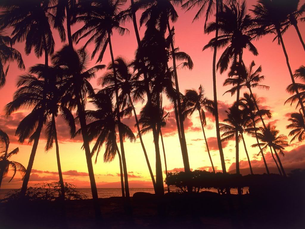 HawaiianSunsetHawaii.jpg