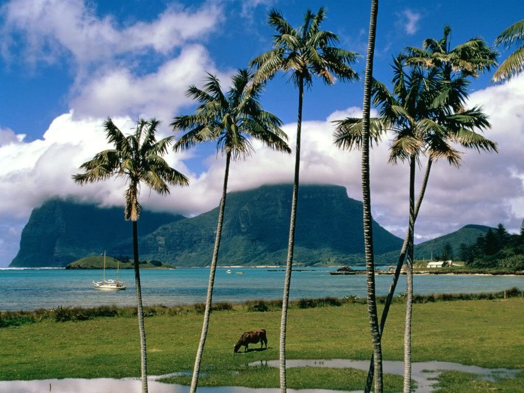 LordHoweIslandAustralia.jpg