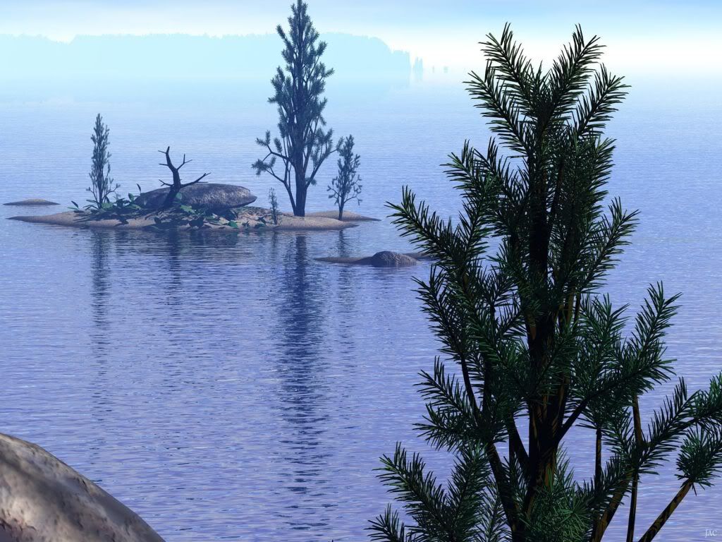 Pinetop.jpg