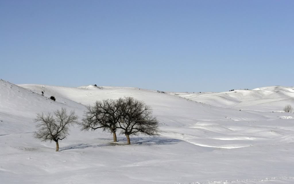 PlanetScenes008.jpg
