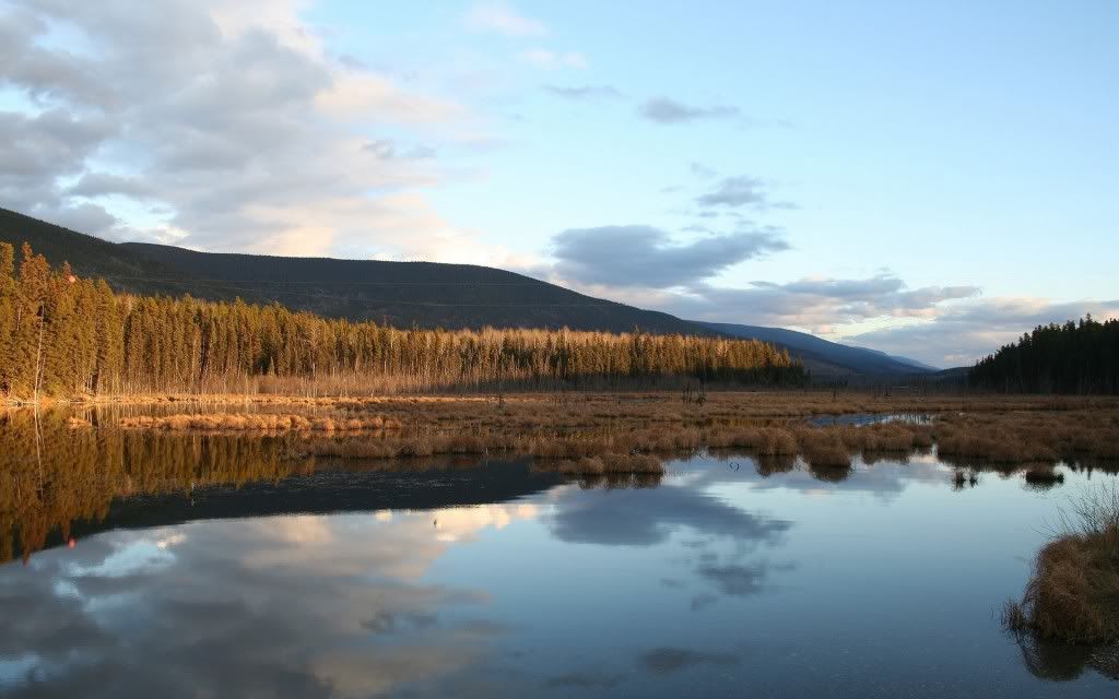 PlanetScenes009.jpg