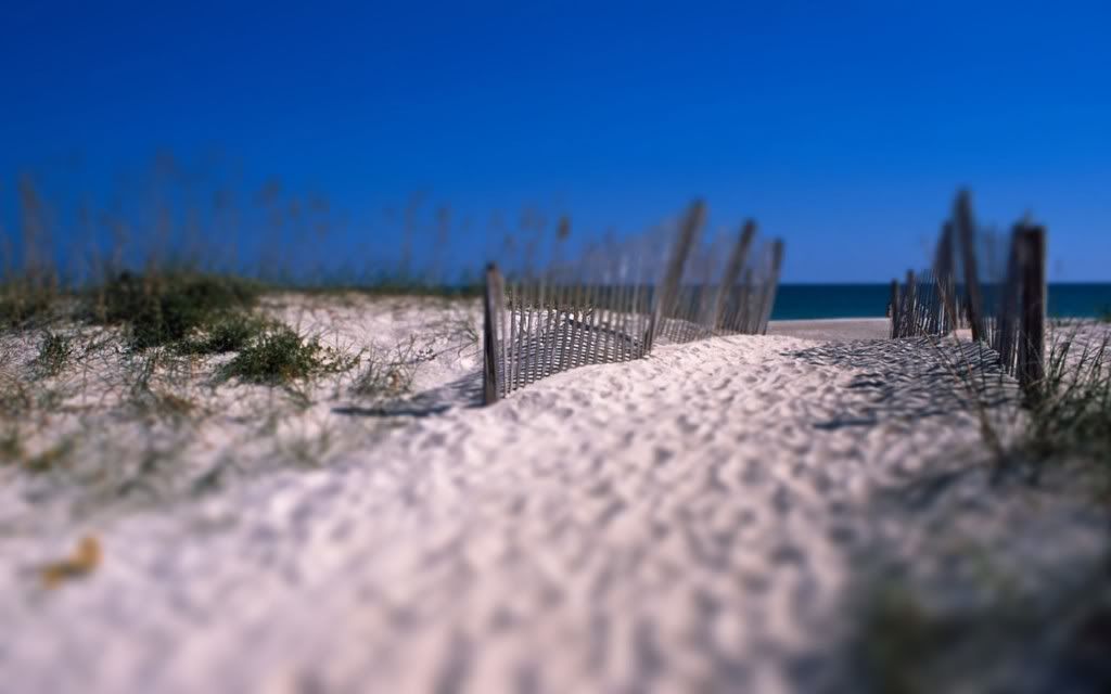 PlanetScenes010.jpg