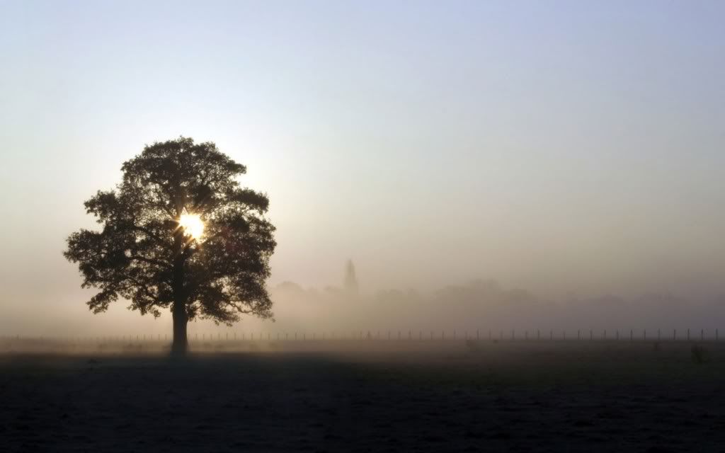 PlanetScenes012.jpg