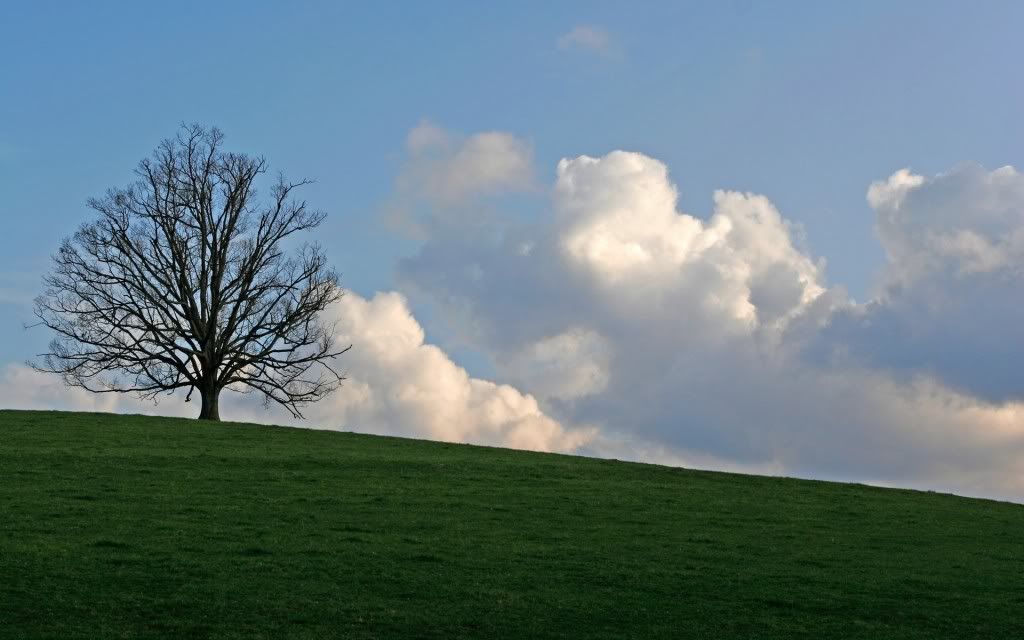 PlanetScenes014.jpg