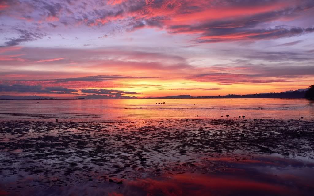 PlanetScenes029.jpg