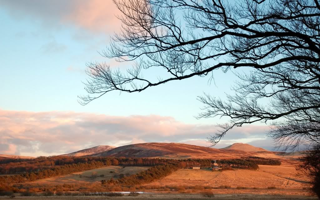 PlanetScenes047.jpg