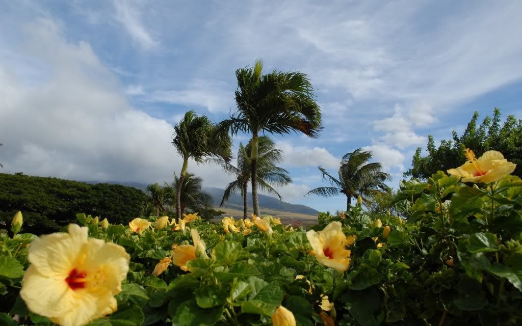 PlanetScenes049.jpg