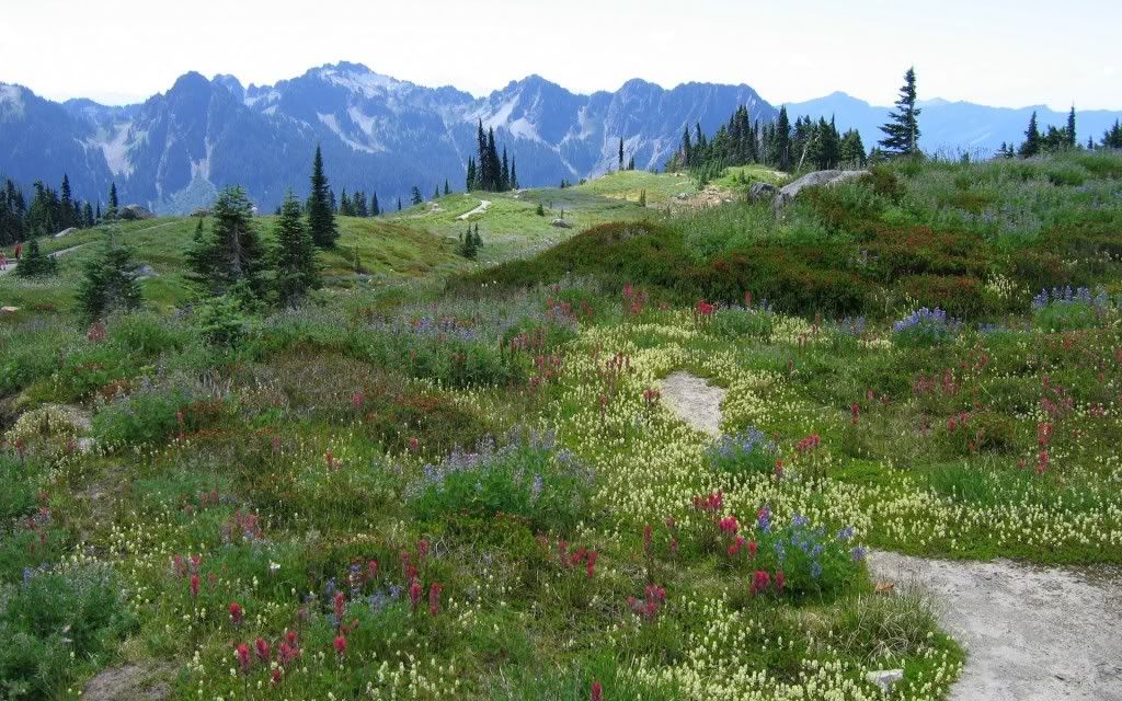 PlanetScenes062.jpg