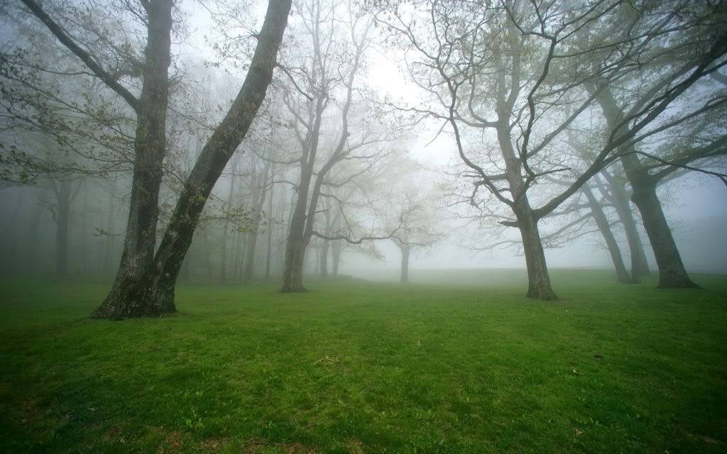 PlanetScenes078.jpg