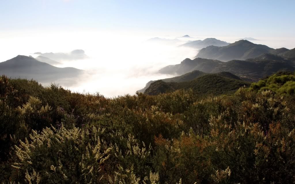 PlanetScenes095.jpg